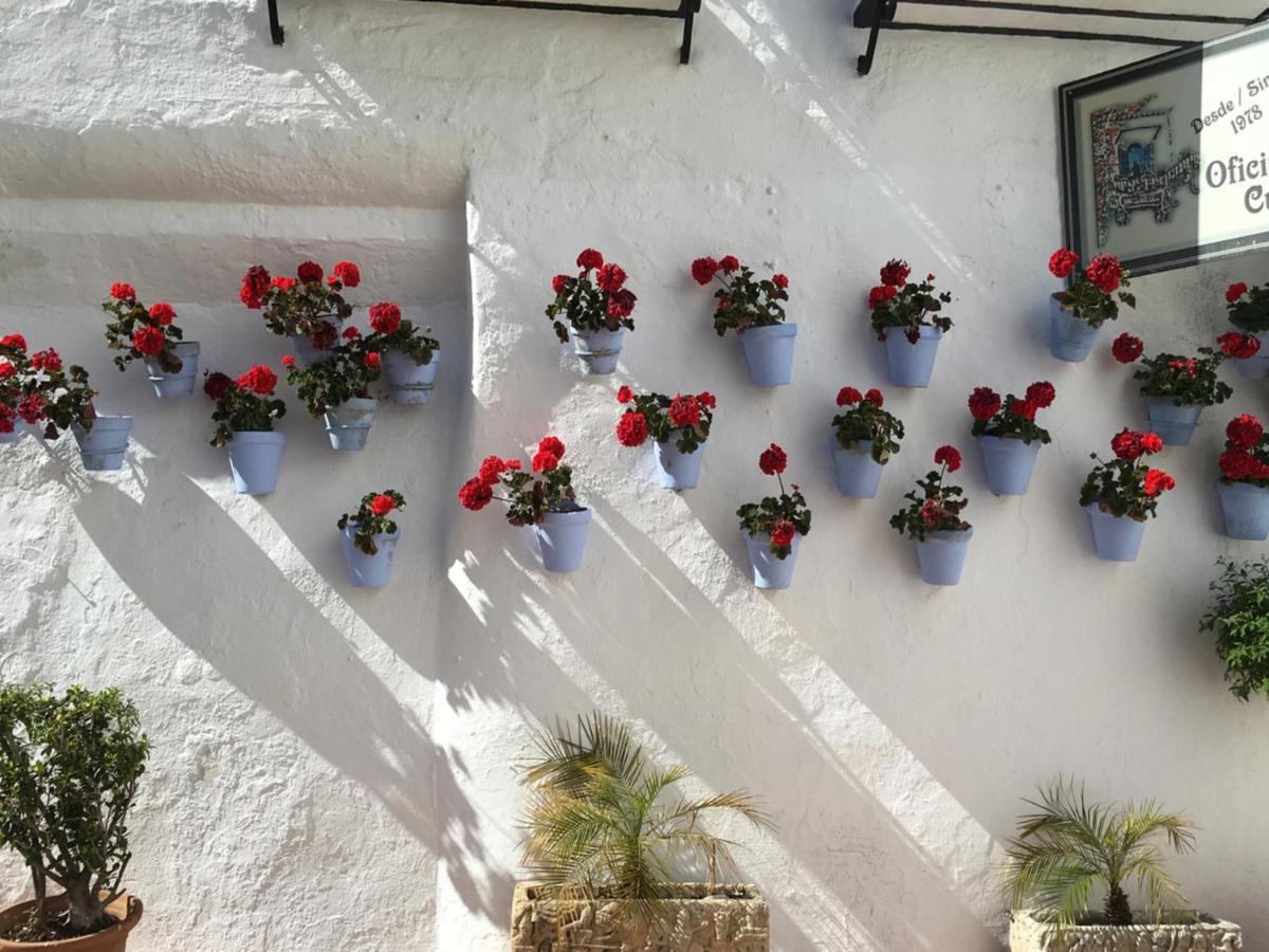 Appartement Paris Dream - Torremolinos